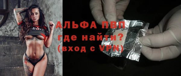 стаф Абинск