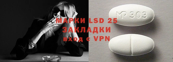 стаф Абинск
