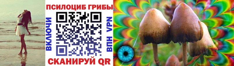 где купить наркоту  Тбилисская  Псилоцибиновые грибы Magic Shrooms 
